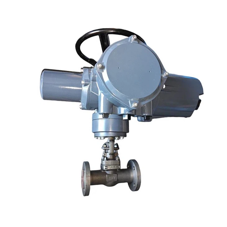DIN JIS GB DN25 Electric Marine Globe Valve