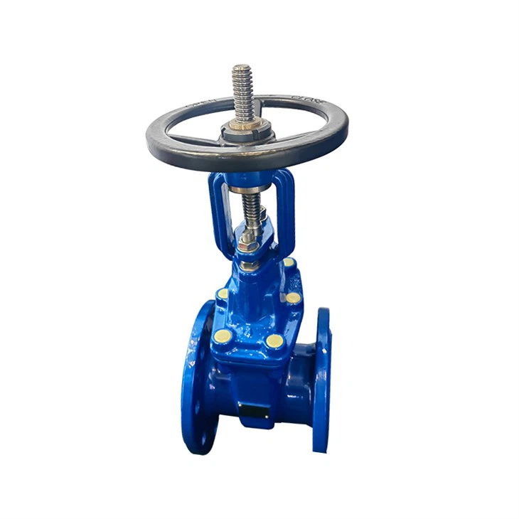 Rising Stem Ductile Iron Sluice Gate Valve